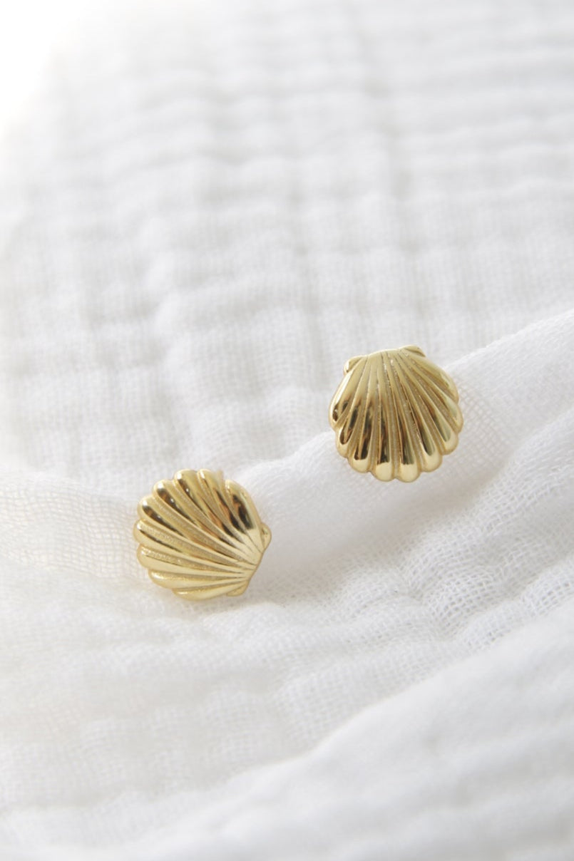 Shell Stud Earrings